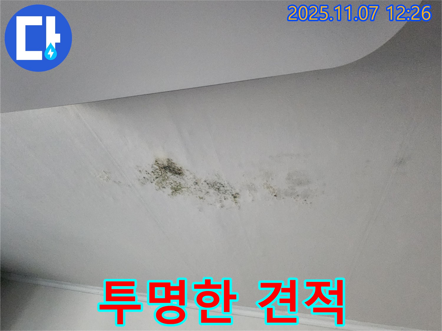 투명한 견적 - 상세 내역 공개