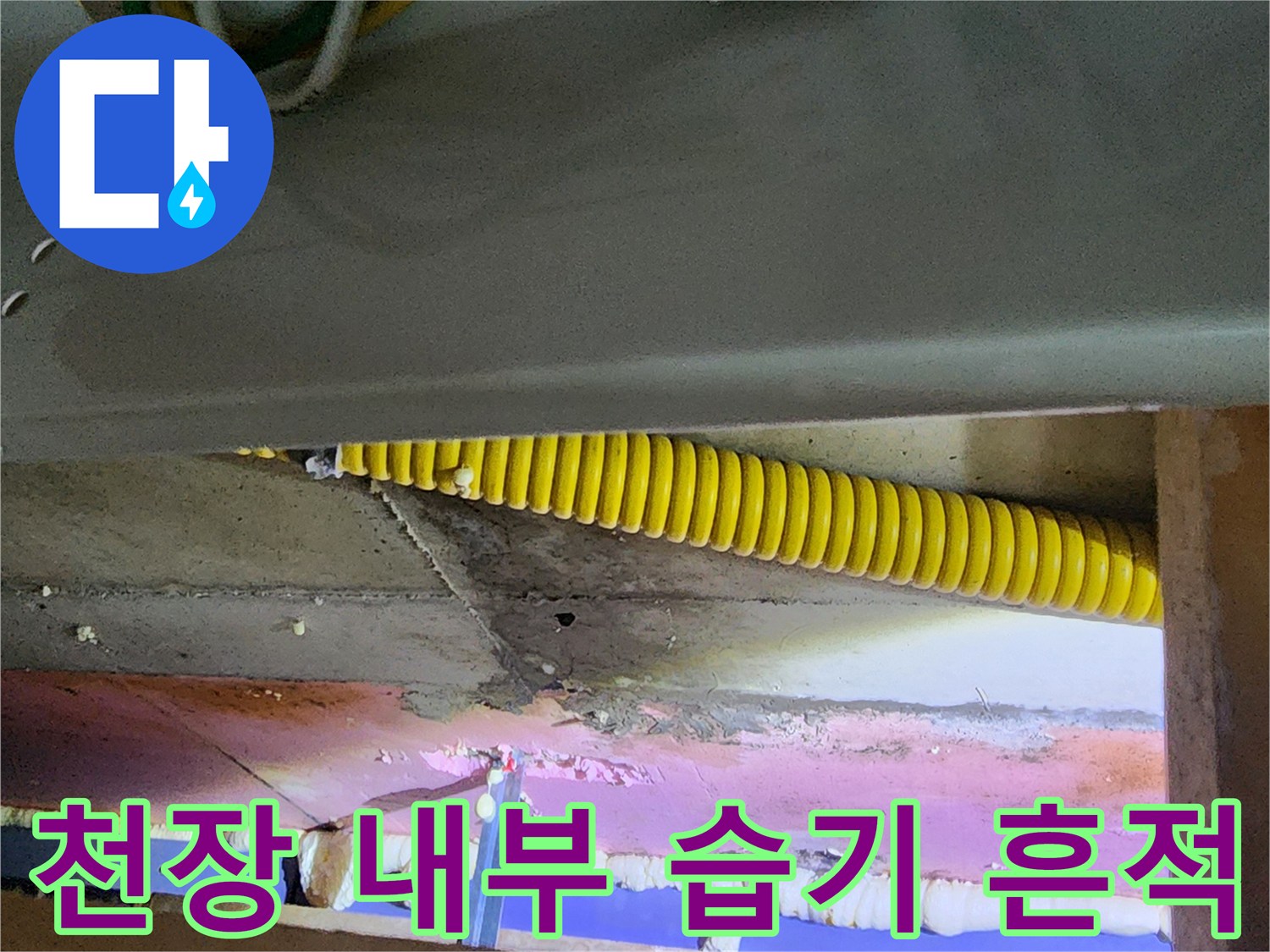 노란색 주름관 주변의 젖은 천장 마감재 상태