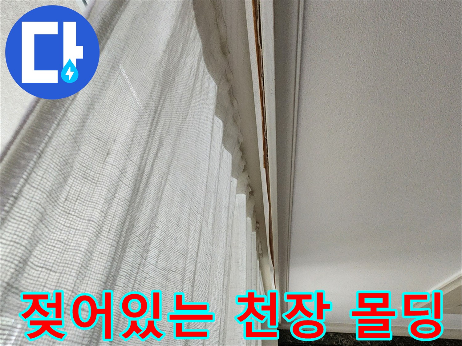 습기로 인해 변색된 천장 몰딩과 벽지 경계 부위 상세 사진