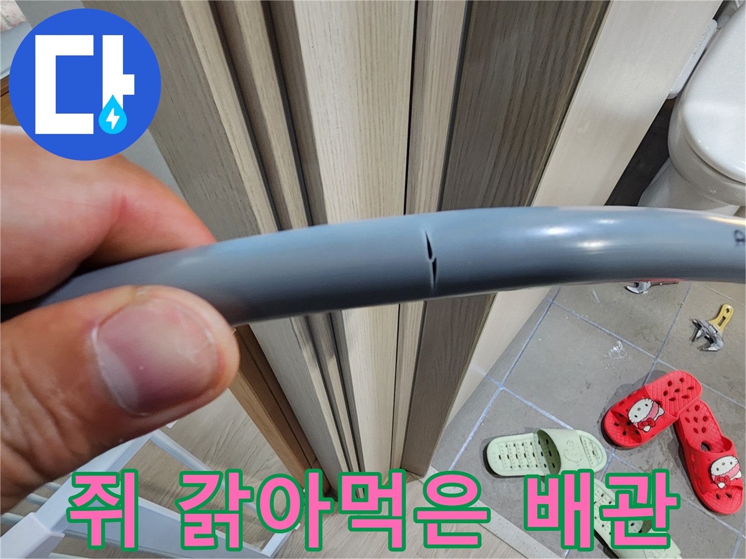 인천 계양구 작전동 아파트 누수 - 쥐가 갉아먹은 배관