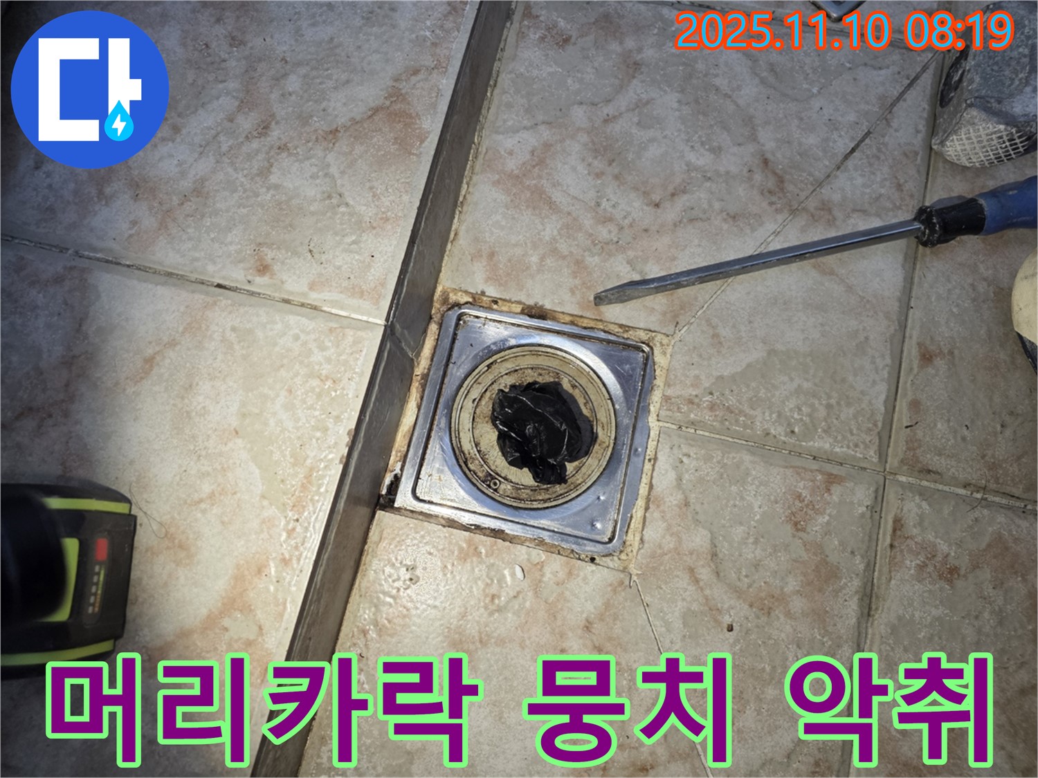욕실 배수구 - 머리카락 뭉치 - 악취