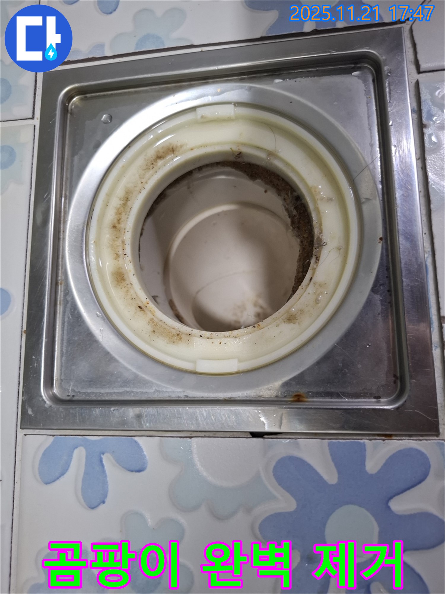 관악구 신림동 배수구 - 곰팡이 완벽 제거 후 깨끗해진 배수구