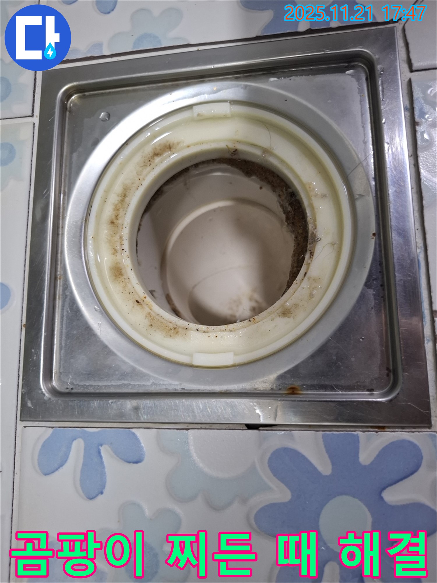 관악구 신림동 배수구 - 곰팡이와 찌든 때 해결을 위한 배수구 청소 과정
