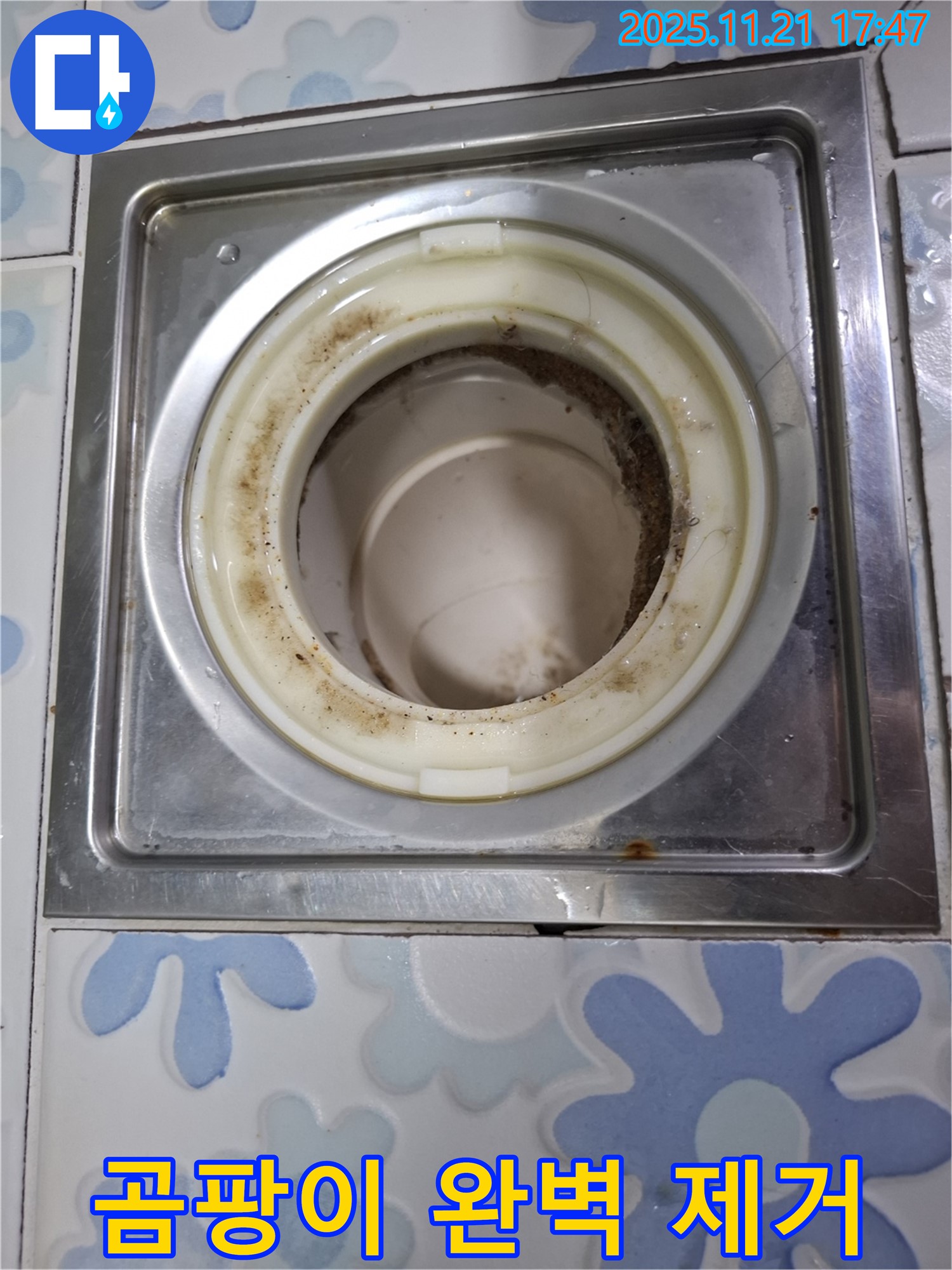 신림 배수구 전문가 - 욕실 배수구 곰팡이 완벽 제거를 위한 전문 장비 사용