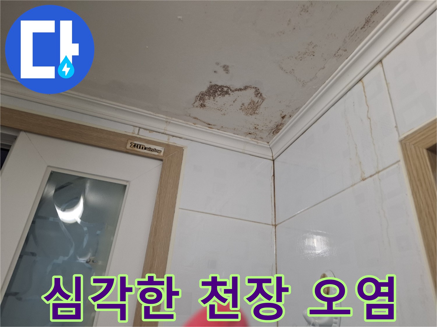 심각한 천장 오염 - 누수 흔적 - 빠른 진단 필수