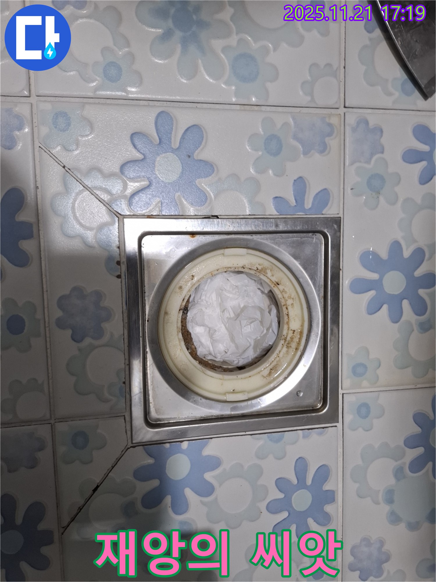 재앙의 씨앗 - 배수구 휴지의 위험성