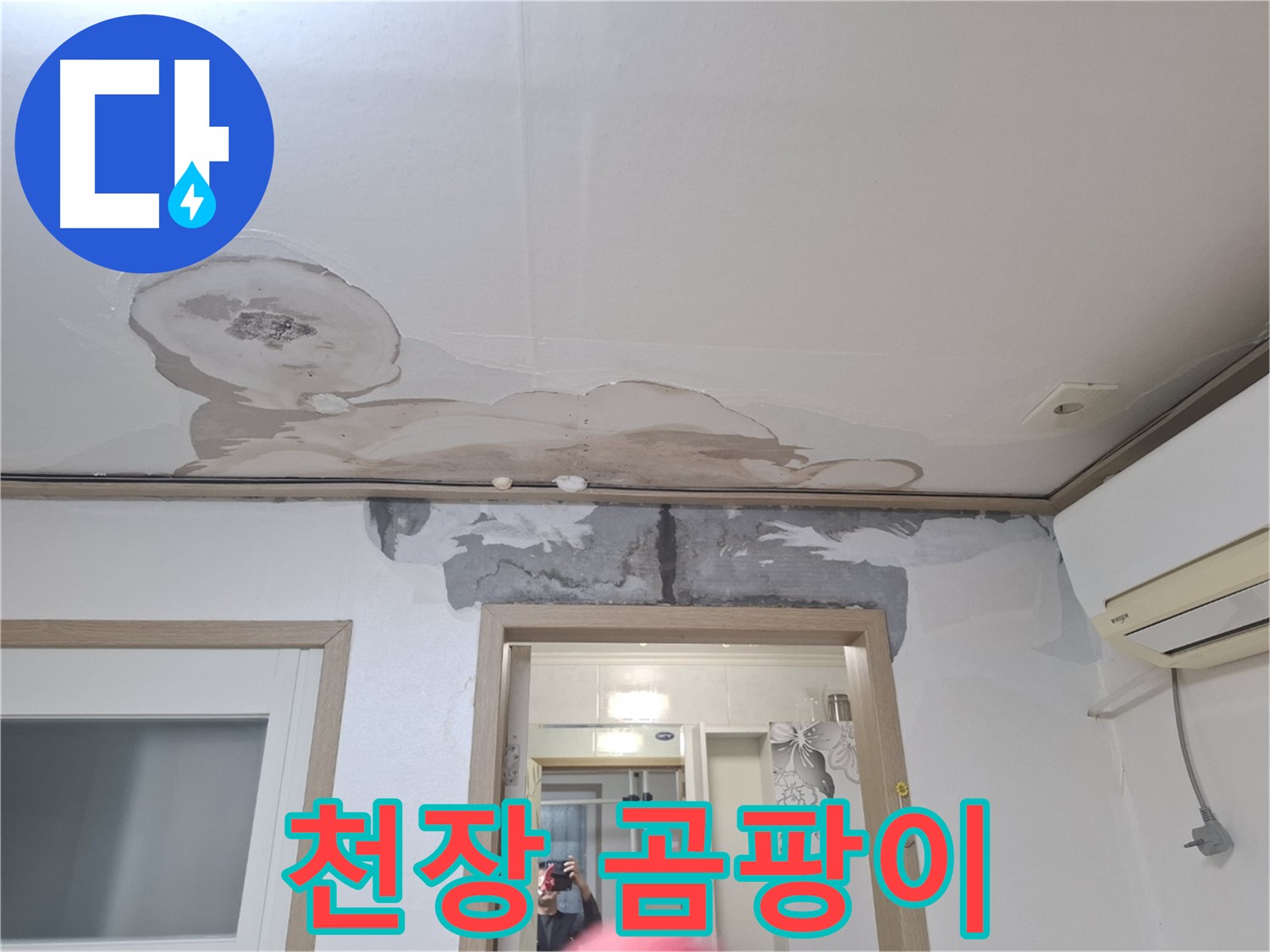 천장 누수로 인한 곰팡이 발생 - 건강에 해로운 곰팡이