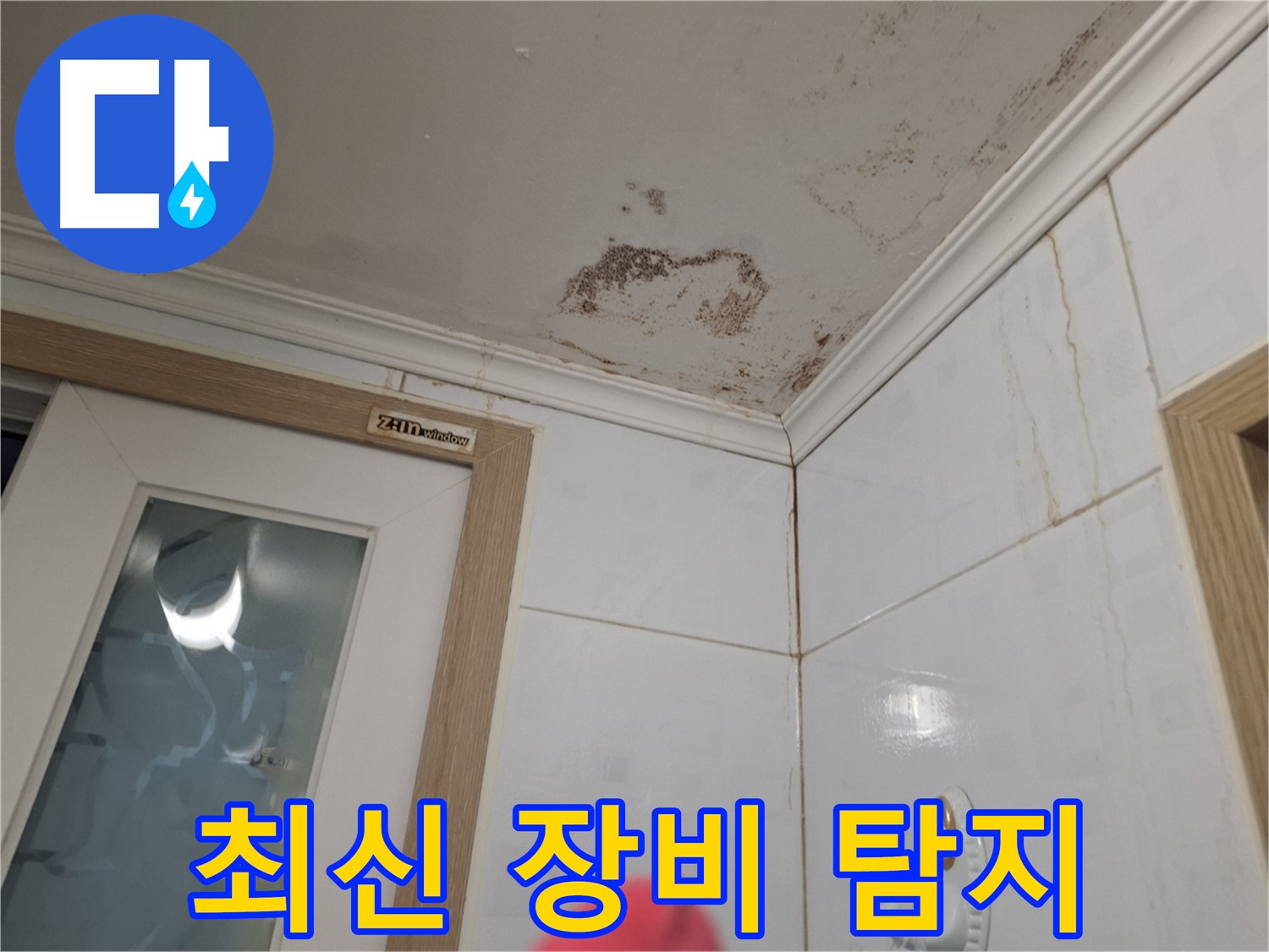 최신 장비 - 정확한 누수 탐지 - 과학적 해결
