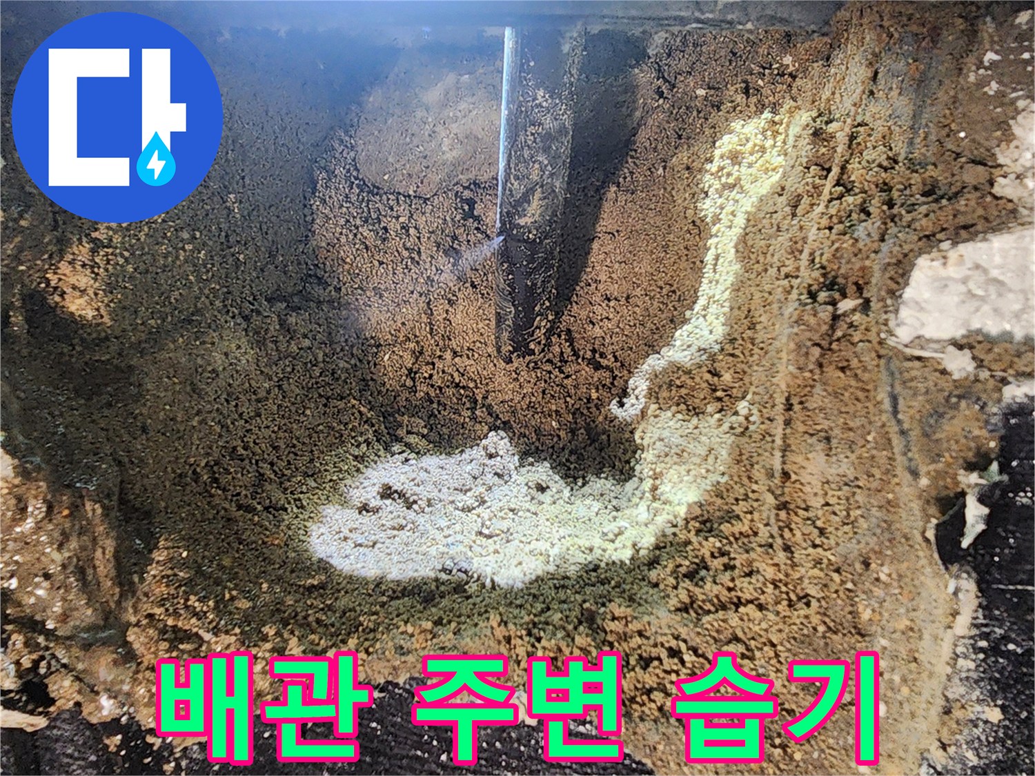 습기로-가득한-배관-주변의-흙과-토사