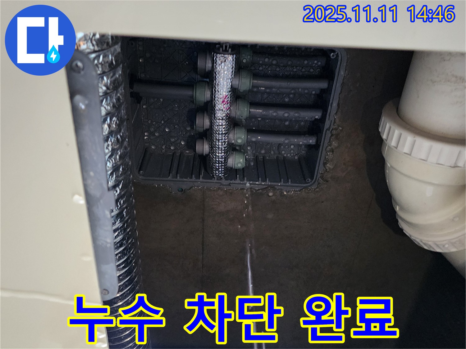 다세대 주택 누수 - 완벽 차단 완료!