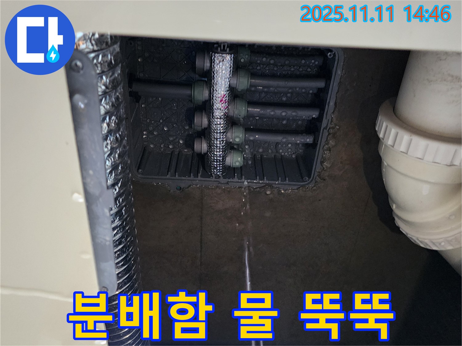 다세대 주택 분배함 누수 - 물 떨어짐