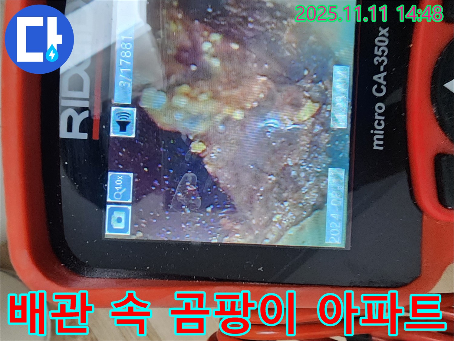 배관 속 곰팡이 아파트 - 철거 작전!