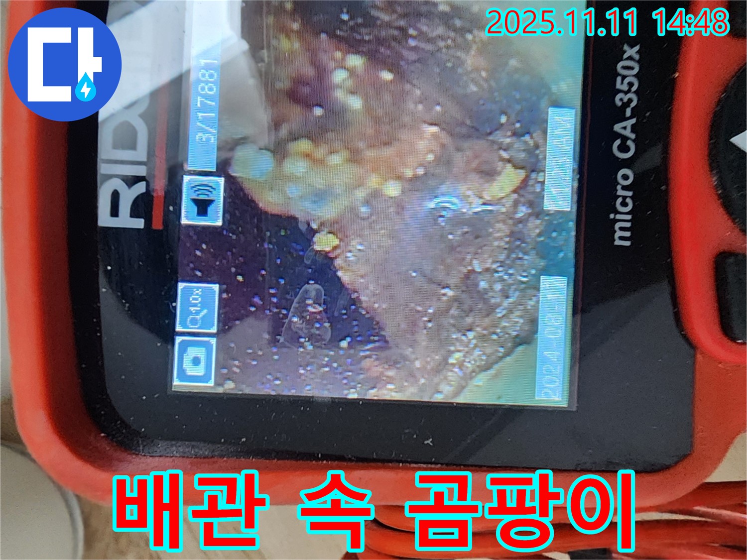 배관 속 곰팡이 - 정글 탐험!