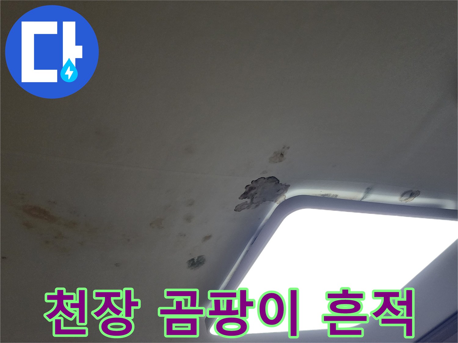 거실 조명 옆-천장 마감재에 발생한 곰팡이와 얼룩