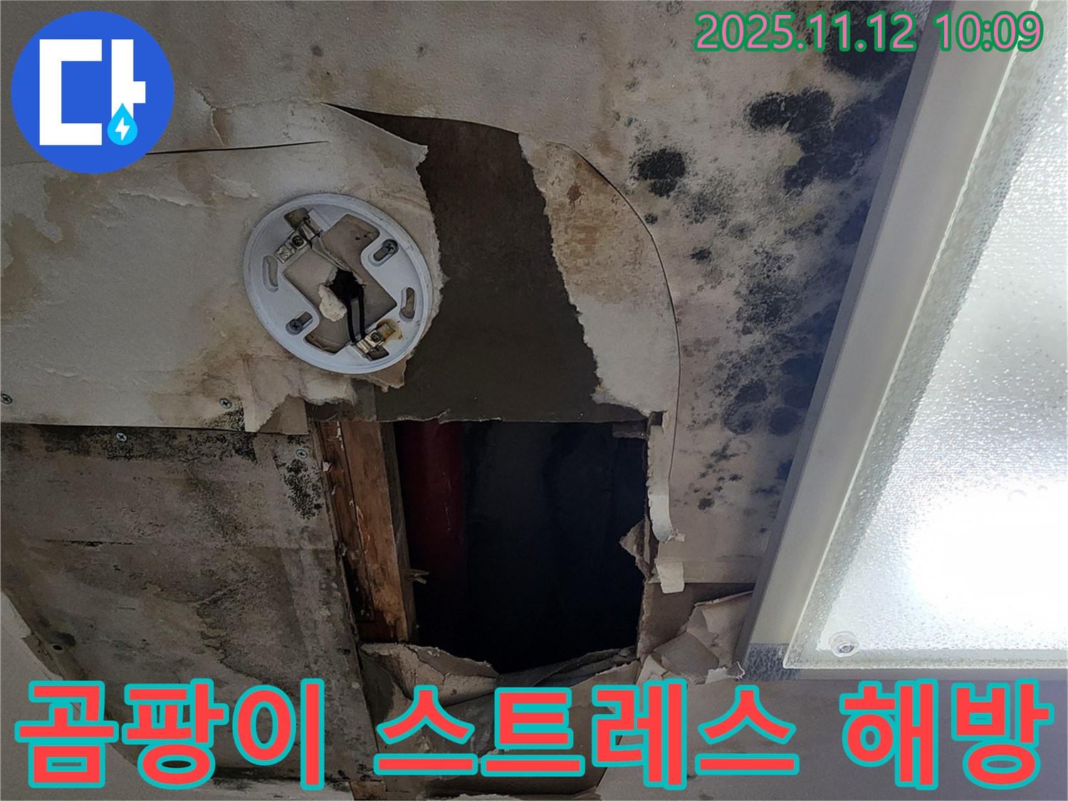 고객 만족 후기 - 곰팡이 천장 누수 완벽 해결 후 고객 감동