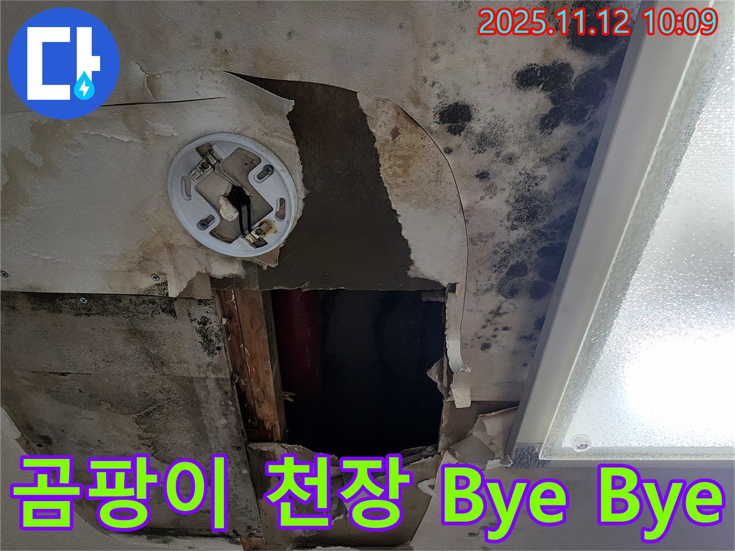 고객 만족 후기 - 곰팡이 천장 누수 완벽 해결 후 고객 감동
