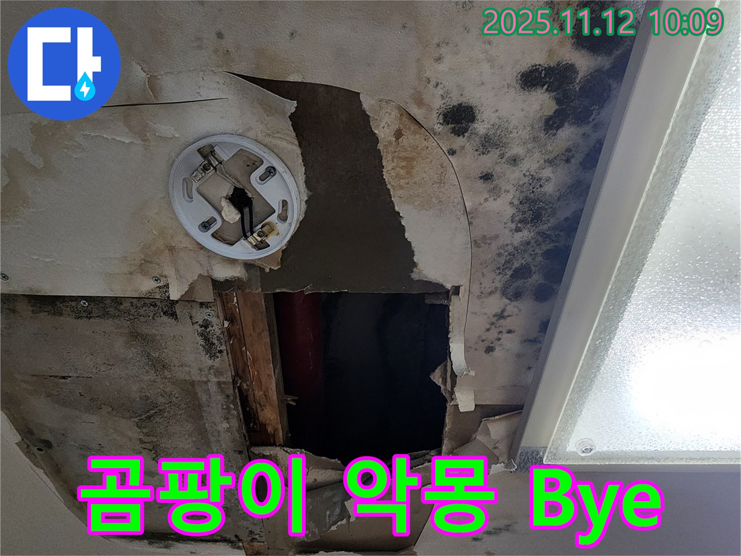 고객 만족 후기 - 곰팡이 천장 누수 완벽 해결 후 고객 감동