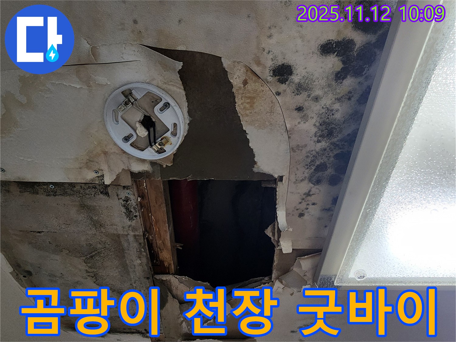 고객 만족 후기 - 곰팡이 천장 누수 완벽 해결 후 고객 감동