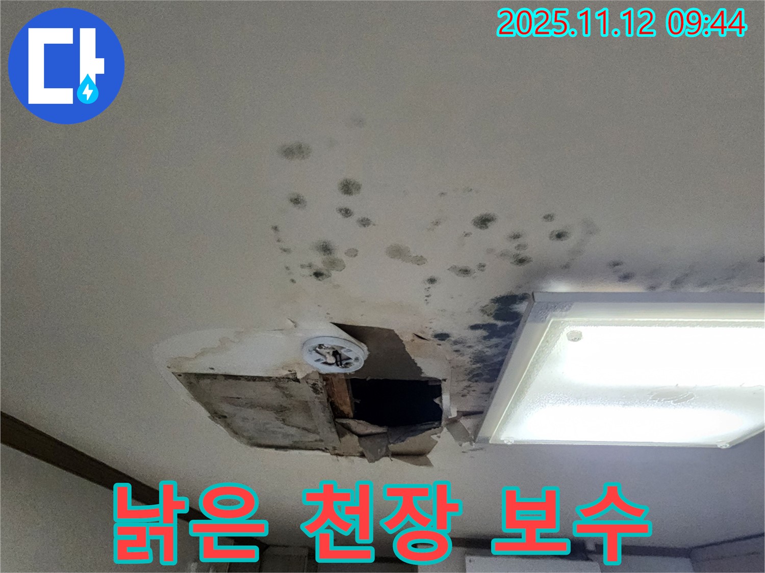 곰팡이 - 낡은 천장 - 안전 진단 - 완벽 보수 시공 약속
