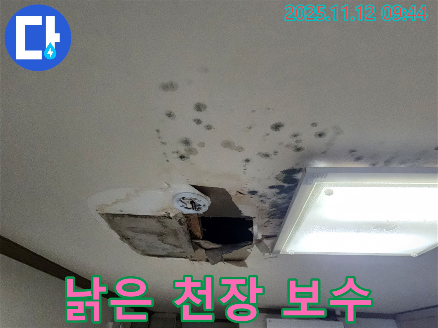 곰팡이 - 낡은 천장 - 안전 진단 - 완벽 보수 시공 약속
