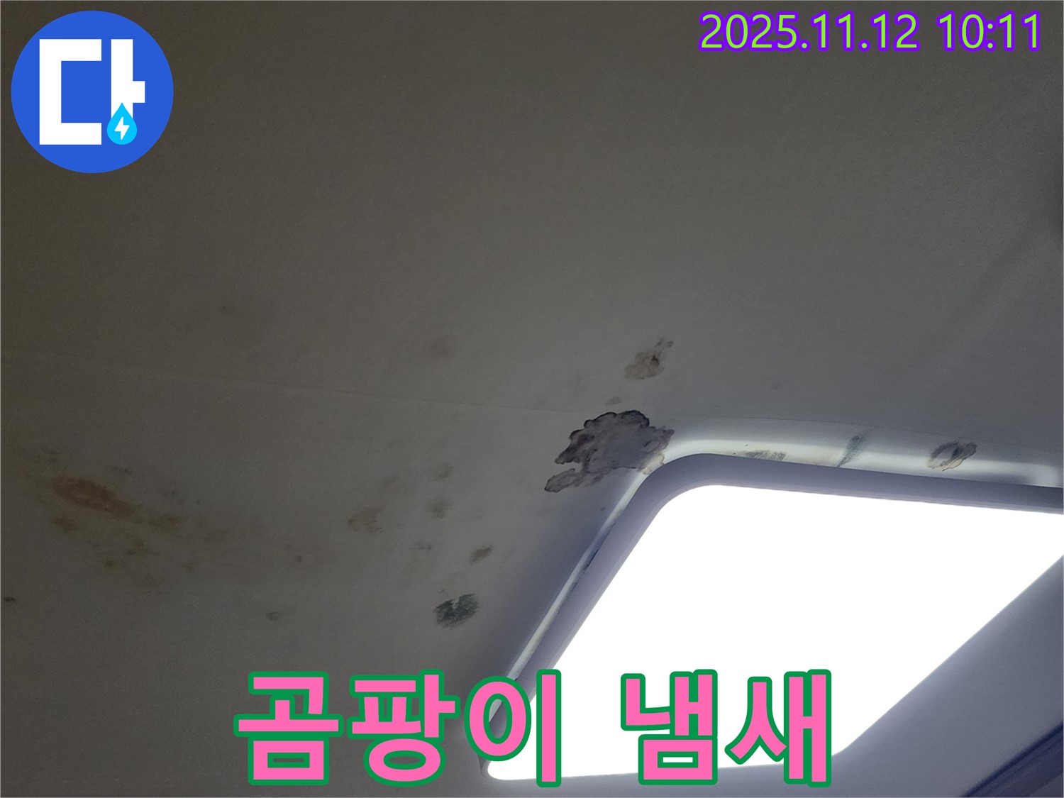 곰팡이 냄새 - 건강 위협
