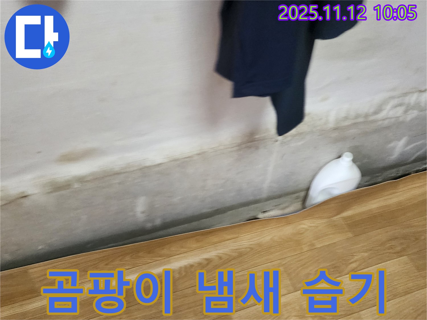 곰팡이 냄새 - 습기 - 쾌적 공간