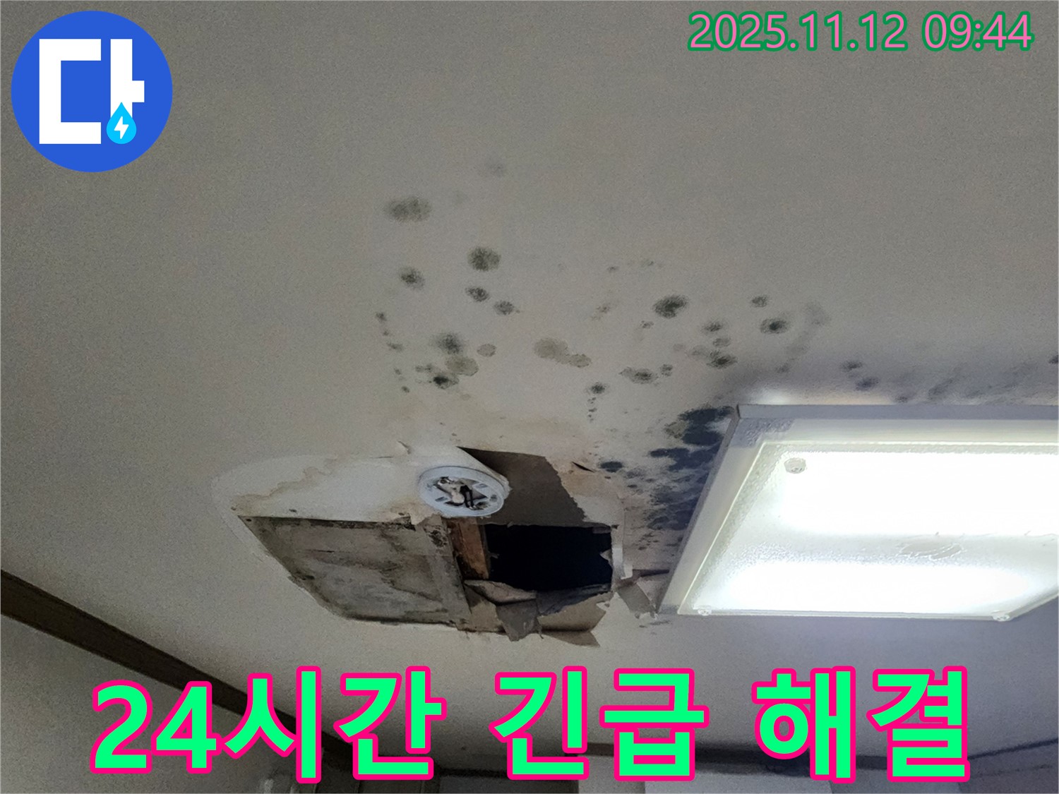곰팡이 - 석고보드 - 천장 처짐 - 24시간 긴급 해결