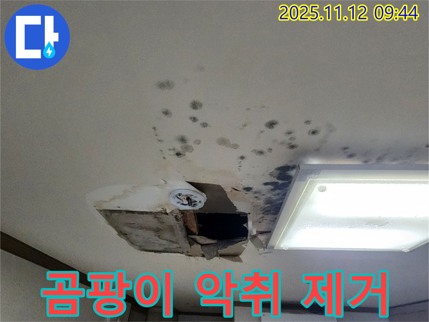 곰팡이 악취 - 천장 붕괴 - 완벽 복구 - 곰팡이 제거 시공