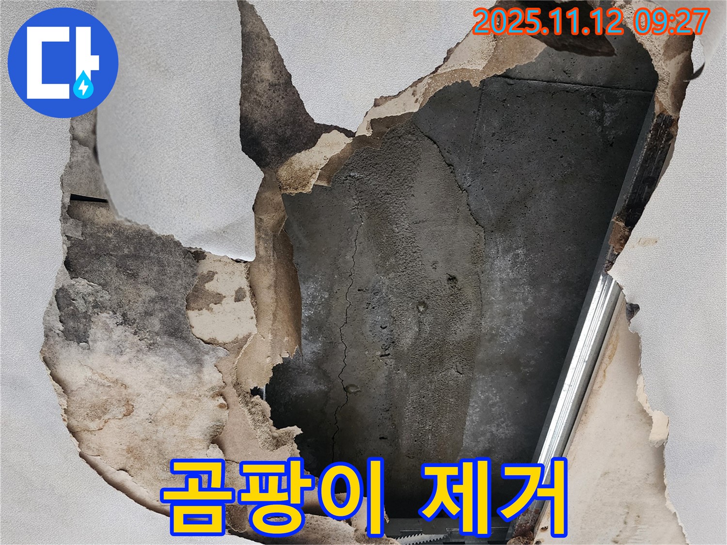 곰팡이 제거 - 누수 후 곰팡이 제거는 필수입니다.