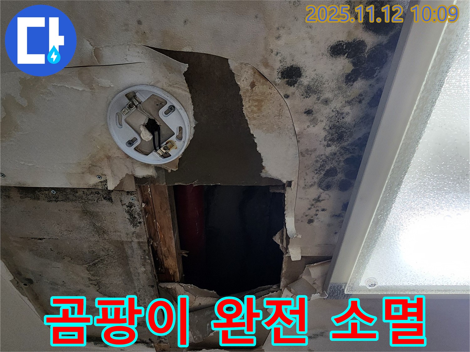 곰팡이 제거 시공 - 친환경 약품으로 곰팡이 완전 제거 및 방지