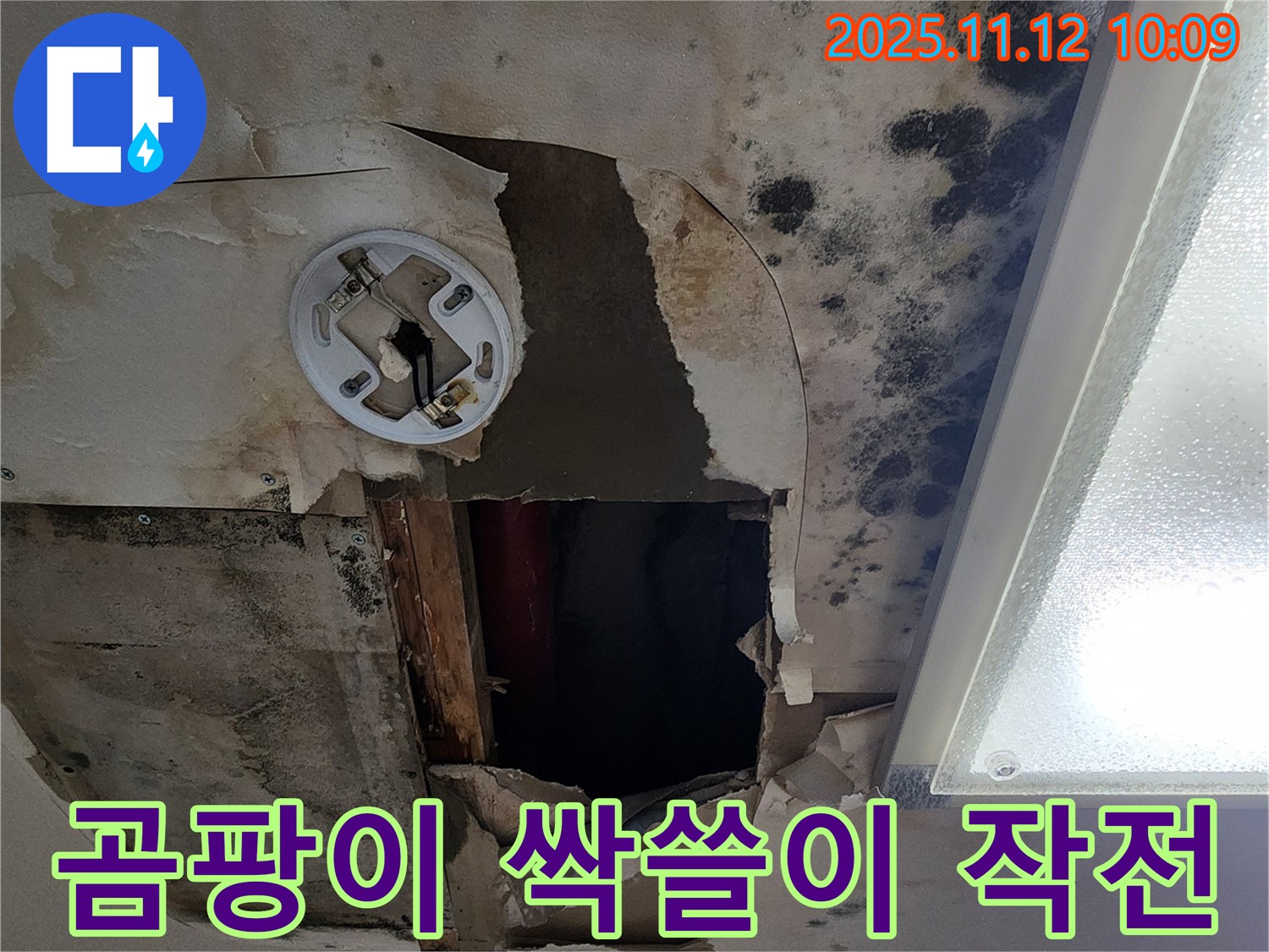 곰팡이 제거 시공 - 친환경 약품으로 곰팡이 완전 제거 및 재발 방지