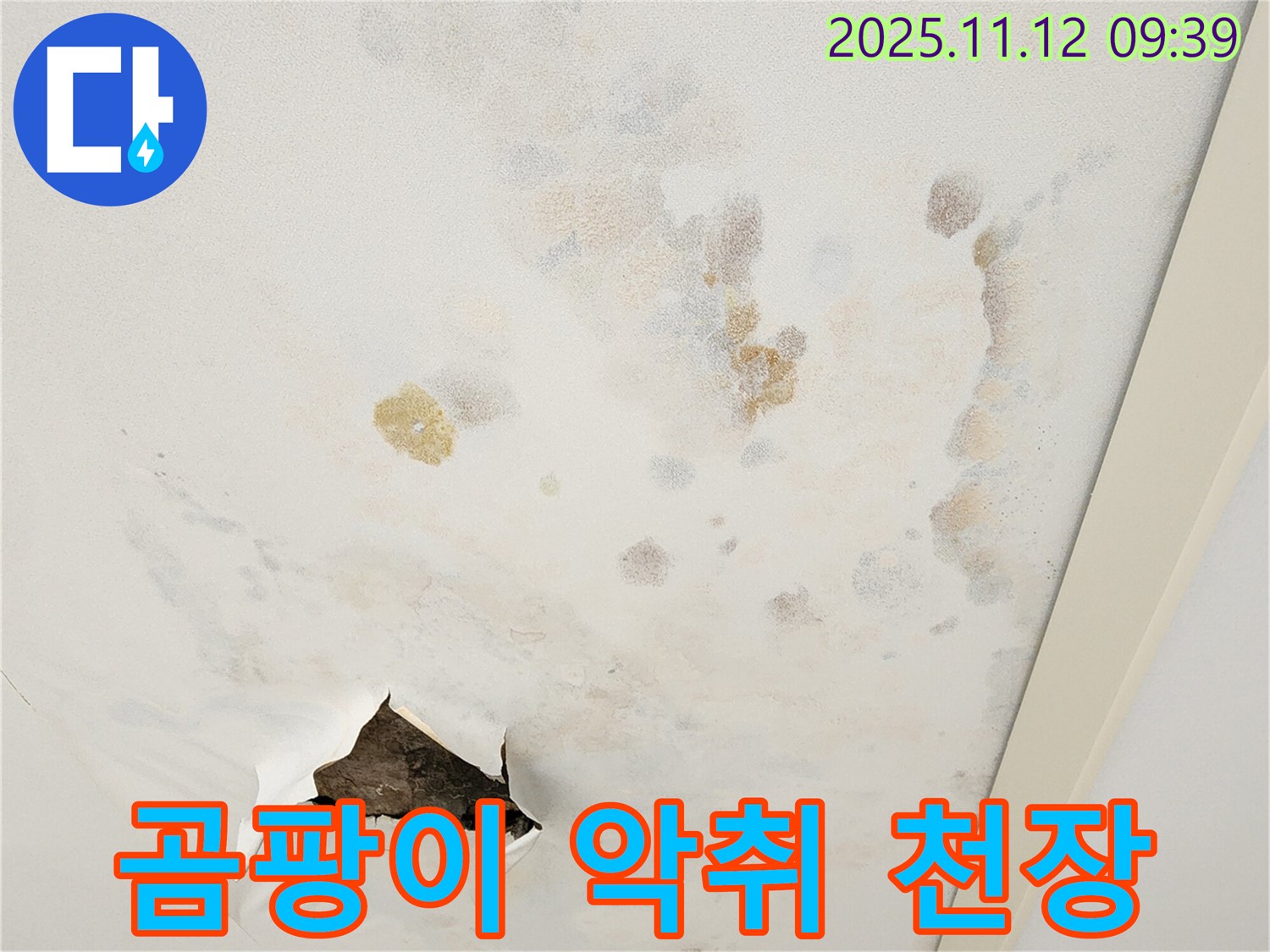 곰팡이 천장 - 악취 발생 - 쾌적한 환경