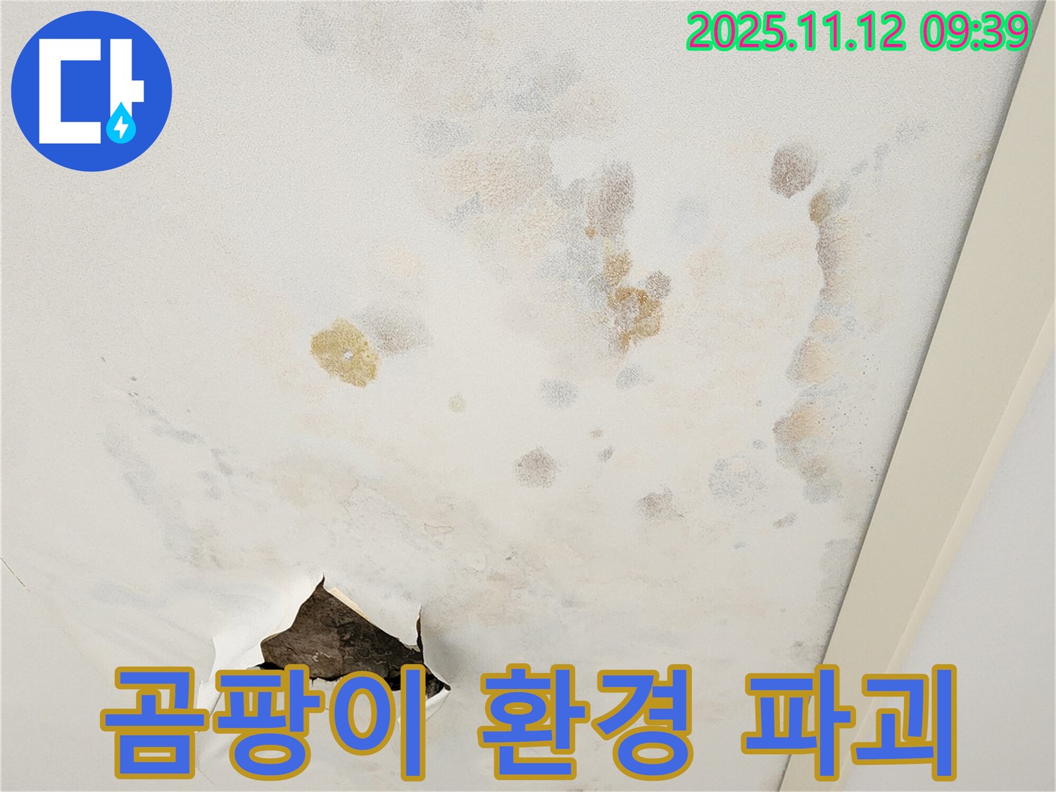 곰팡이 천장 - 환경 파괴 - 쾌적한 공간