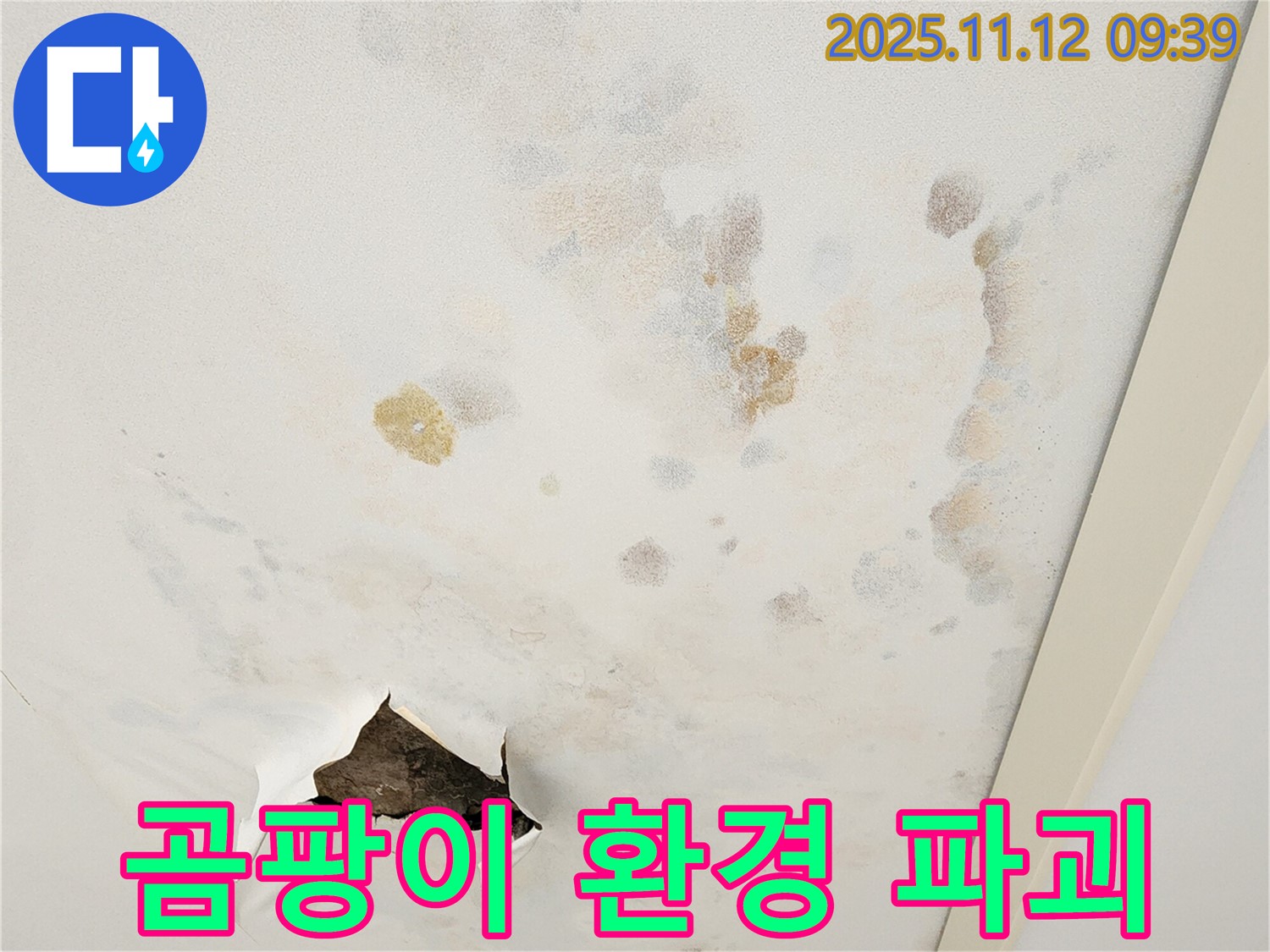 곰팡이 천장 - 환경 파괴 - 쾌적한 공간