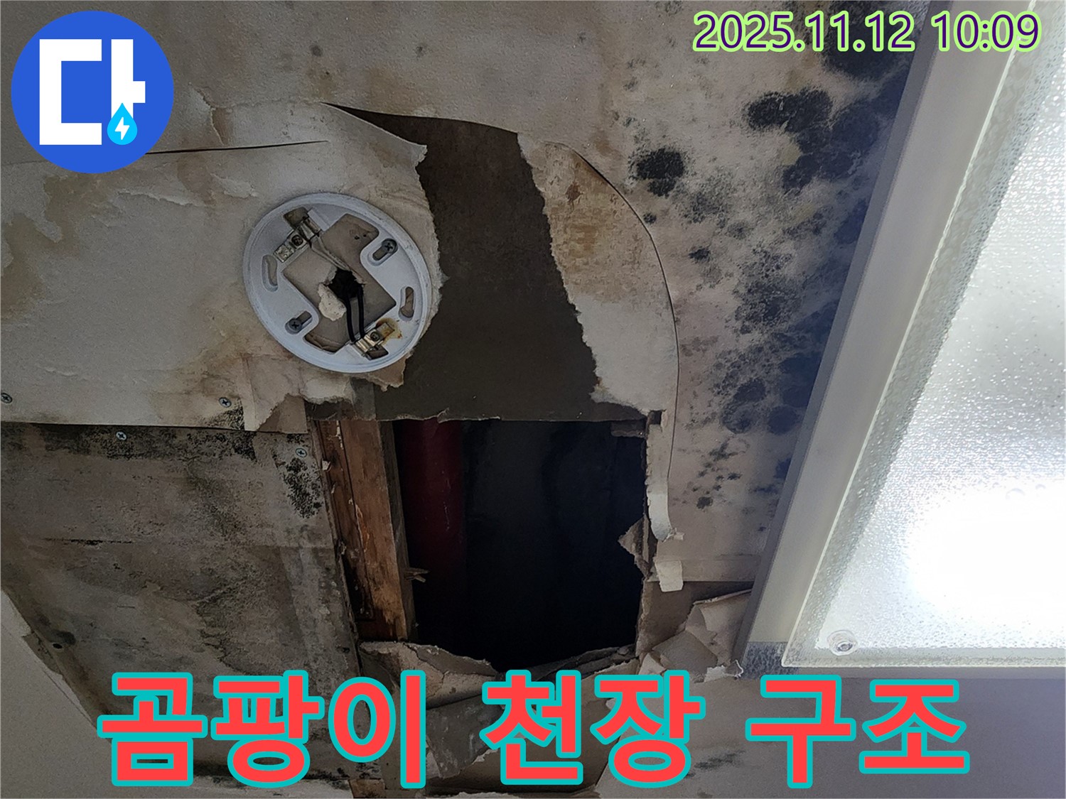 곰팡이 핀 천장 - 긴급 구조가 필요한 상황