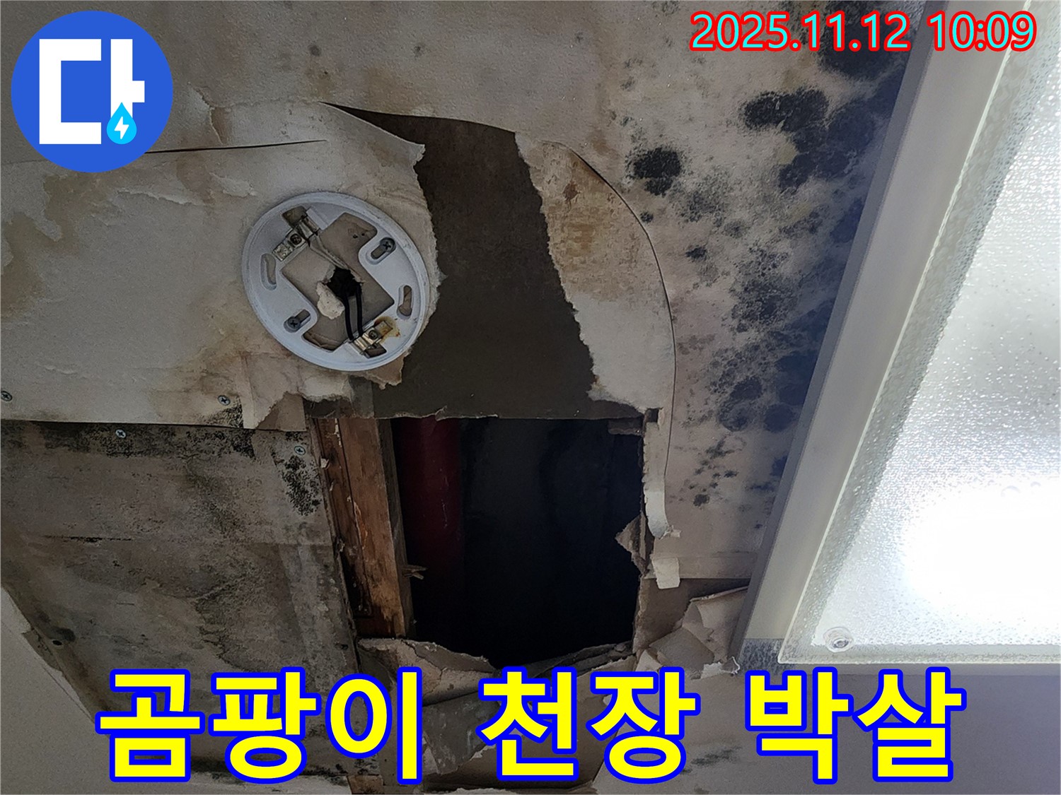 곰팡이로 뒤덮인 천장 - 소흘읍 누수 어벤져스가 해결합니다