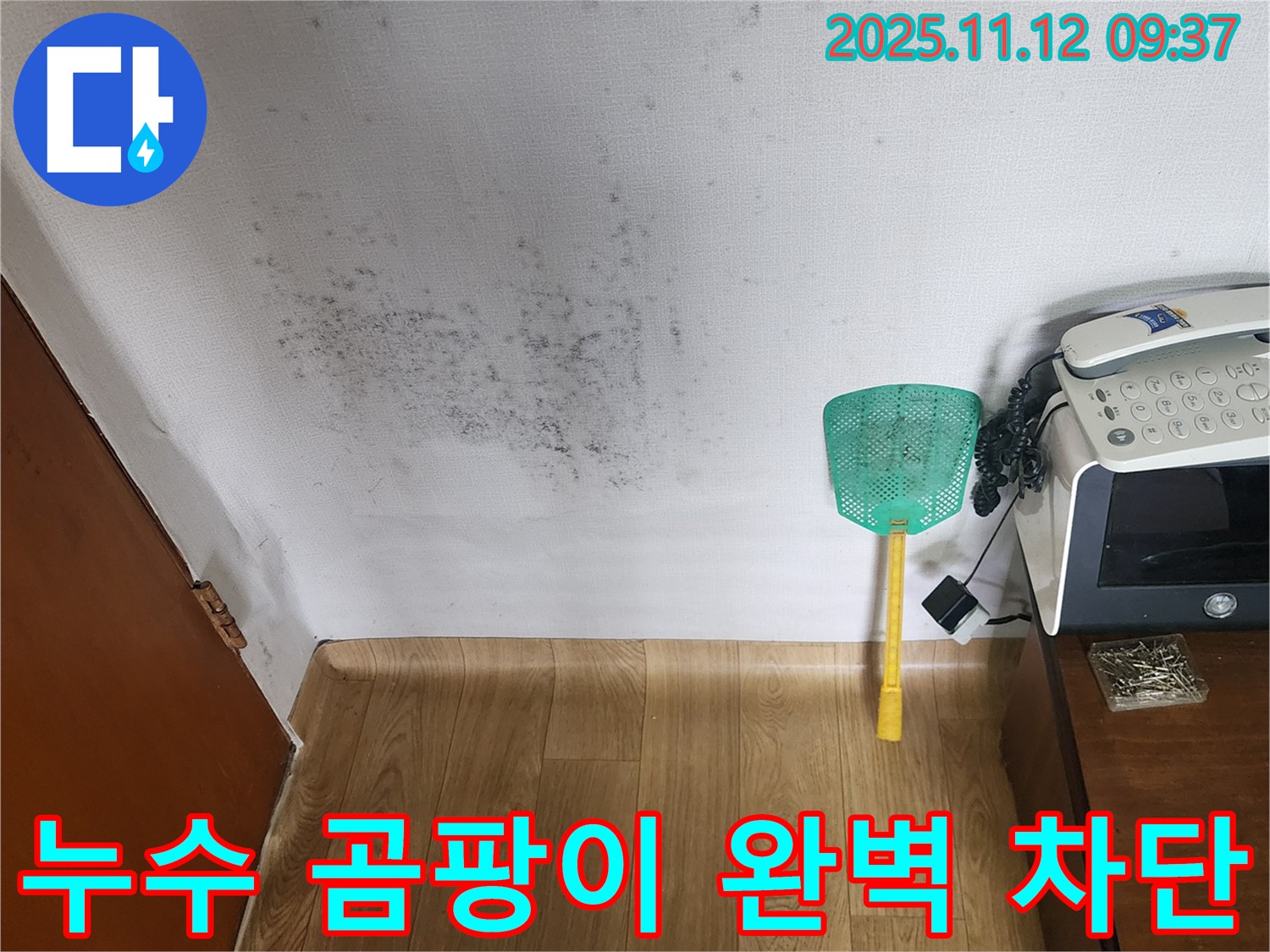누수와 곰팡이 해결 - 전문 장비로 누수탐지, 꼼꼼한 곰팡이 제거로 완벽 해결!