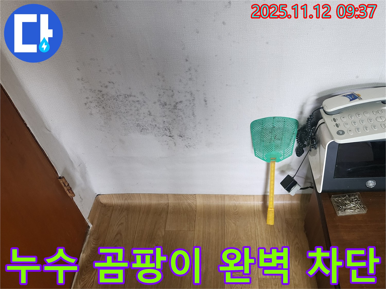 누수와 곰팡이 해결 - 전문 장비로 누수탐지, 꼼꼼한 곰팡이 제거로 완벽 해결!