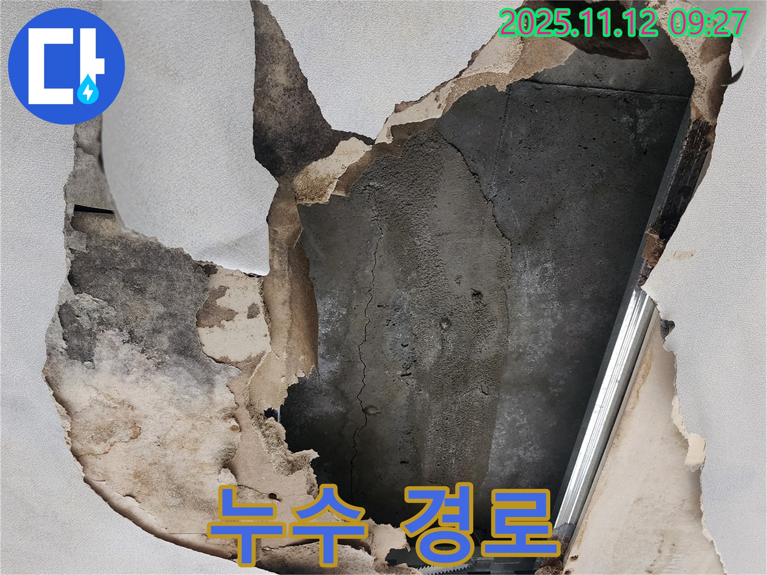 뜯겨진 천장 속 - 숨겨진 누수 경로
