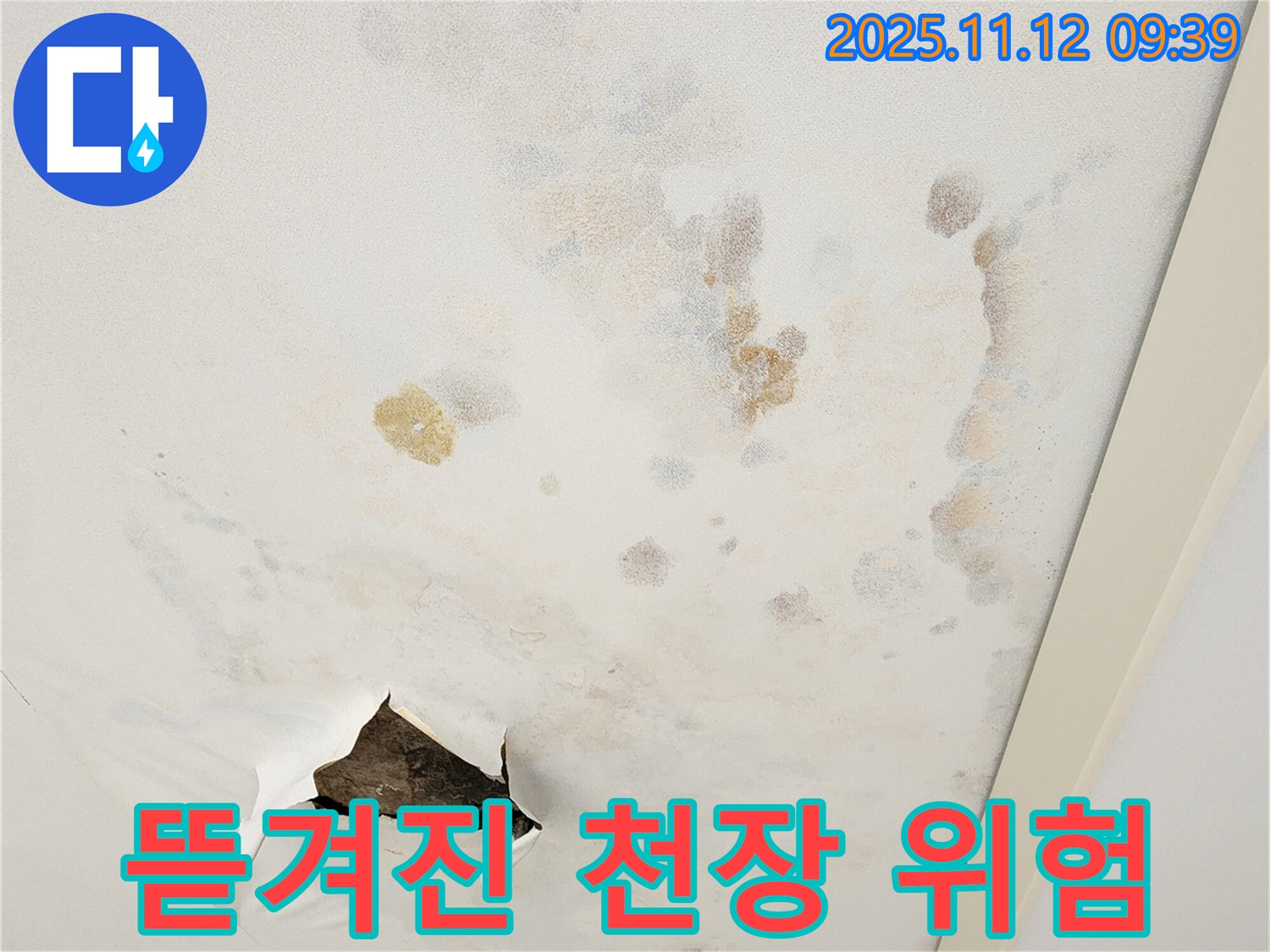 뜯겨진 천장 - 안전사고 위험 - 빠른 보수