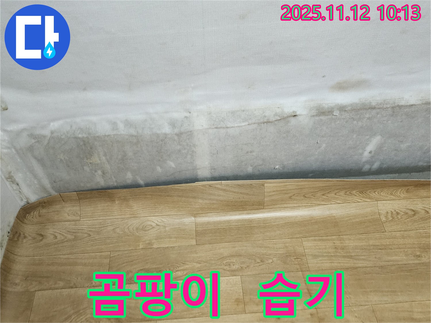 무봉리 누수 현장 - 곰팡이와 습기로 가득한 벽과 들뜬 장판, 누수 전문가와 상담하세요