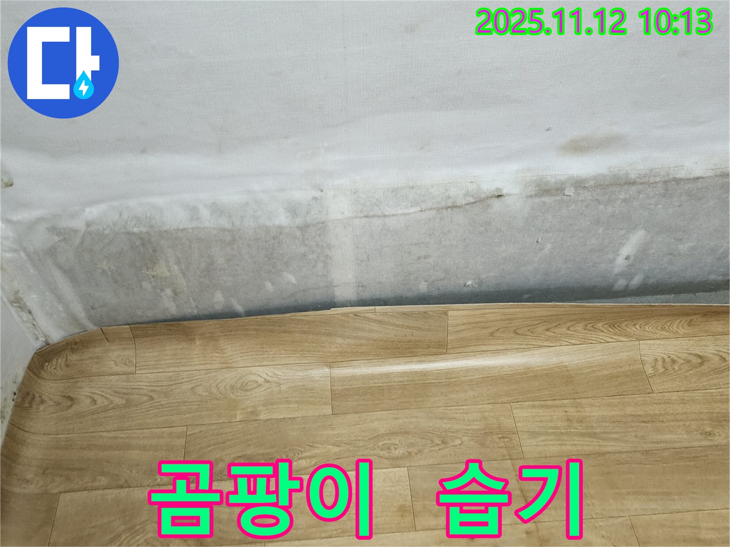 무봉리 누수 현장 - 곰팡이와 습기로 가득한 벽과 들뜬 장판, 누수 전문가와 상담하세요