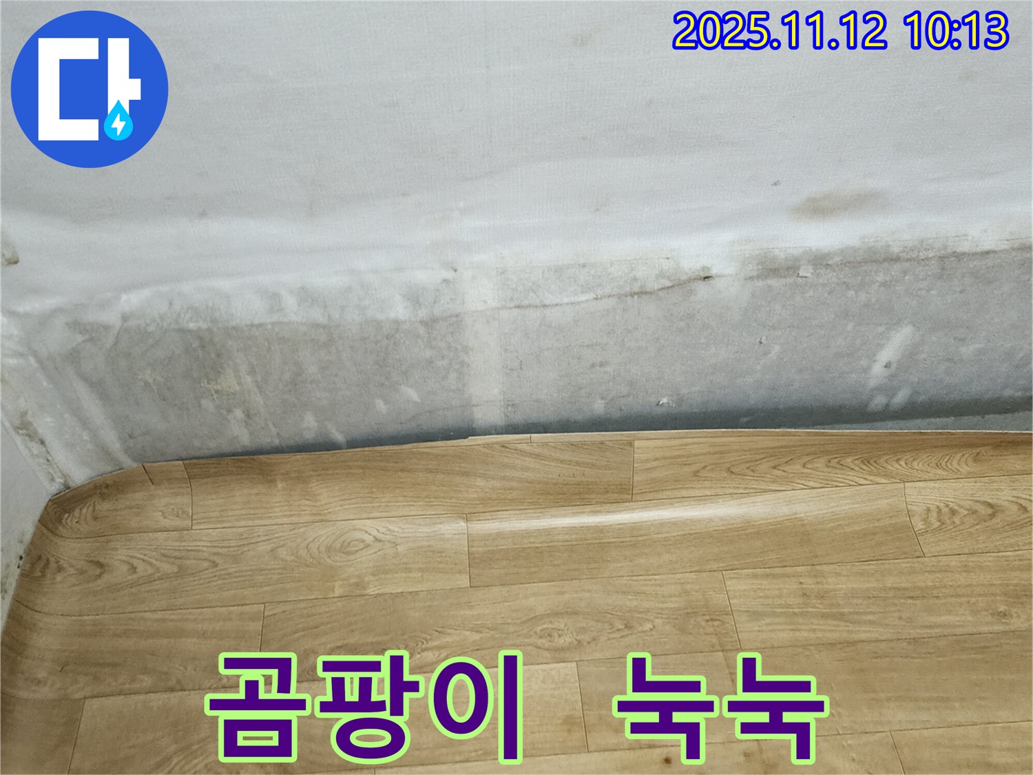 무봉리 누수 현장 - 곰팡이와 함께 눅눅해진 장판 - 누수 해결의 시작입니다.