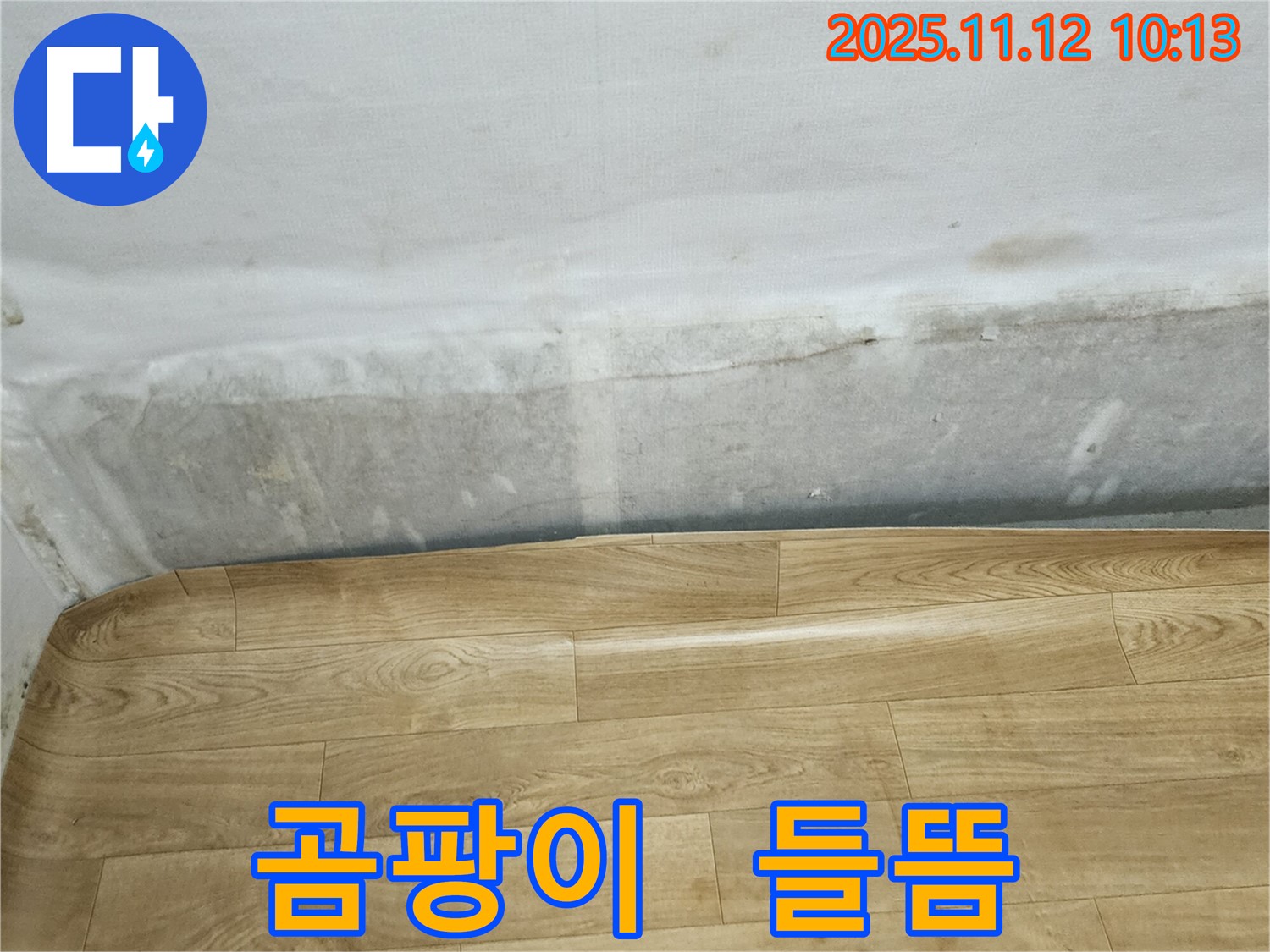 무봉리 누수 현장 - 곰팡이와 함께 들뜬 장판, 누수 해결의 시작입니다 - 전문가와 함께하세요.