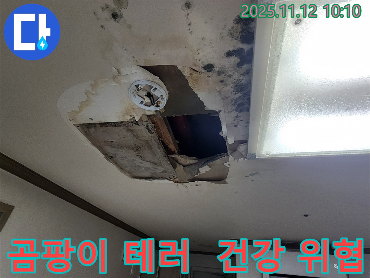 무봉리 주택 천장 - 곰팡이 테러, 건강 위협!