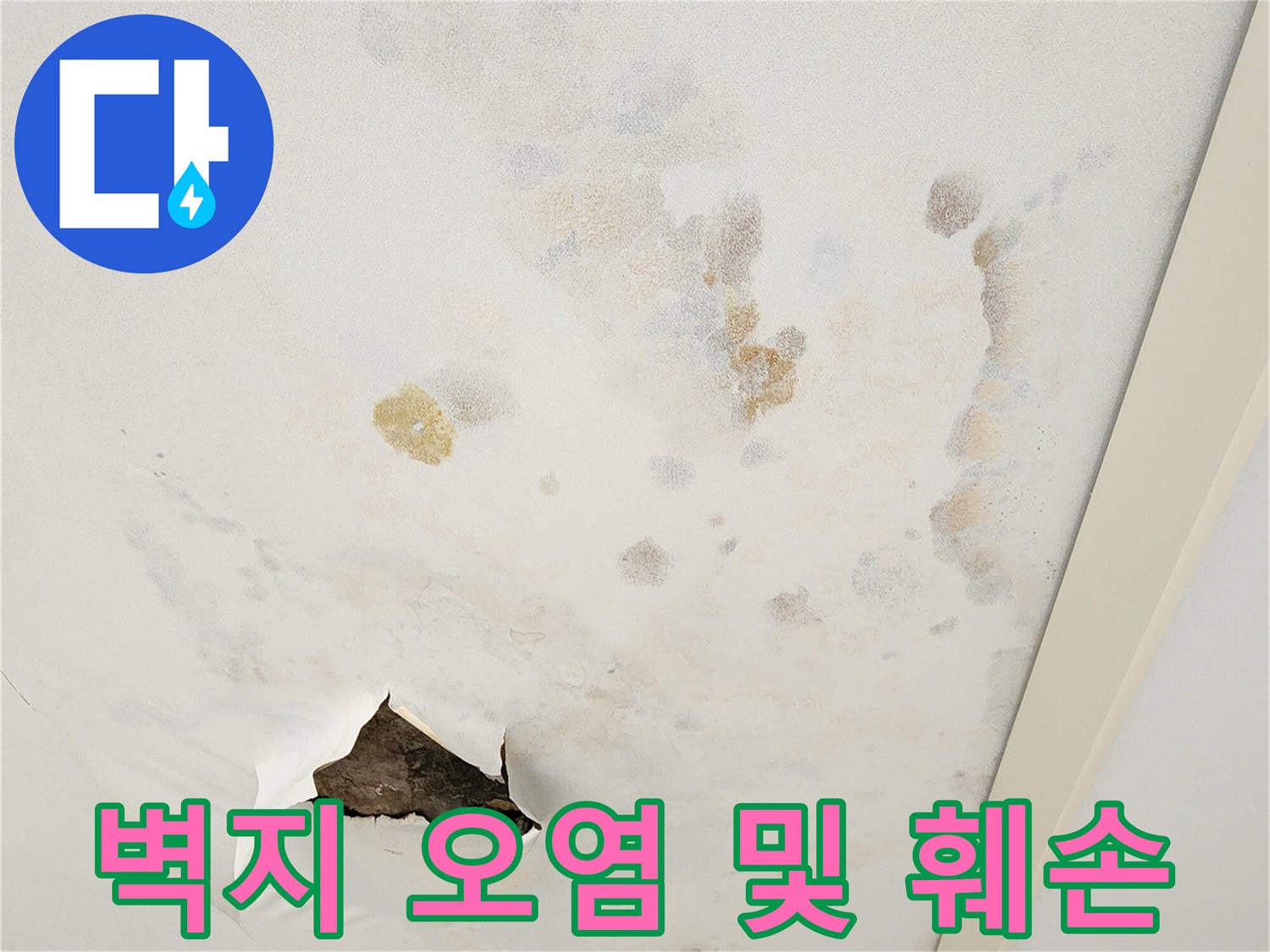 물기에-젖어-변색되고-찢어진-천장-마감재