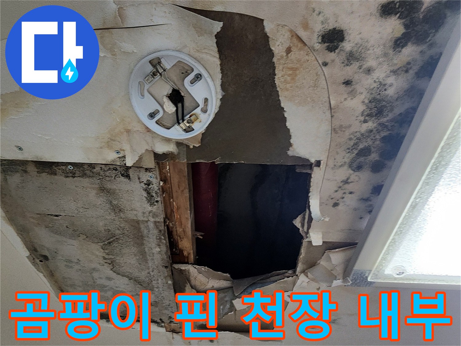 물샘 흔적이 남은 - 천장 석고보드 절개 부위