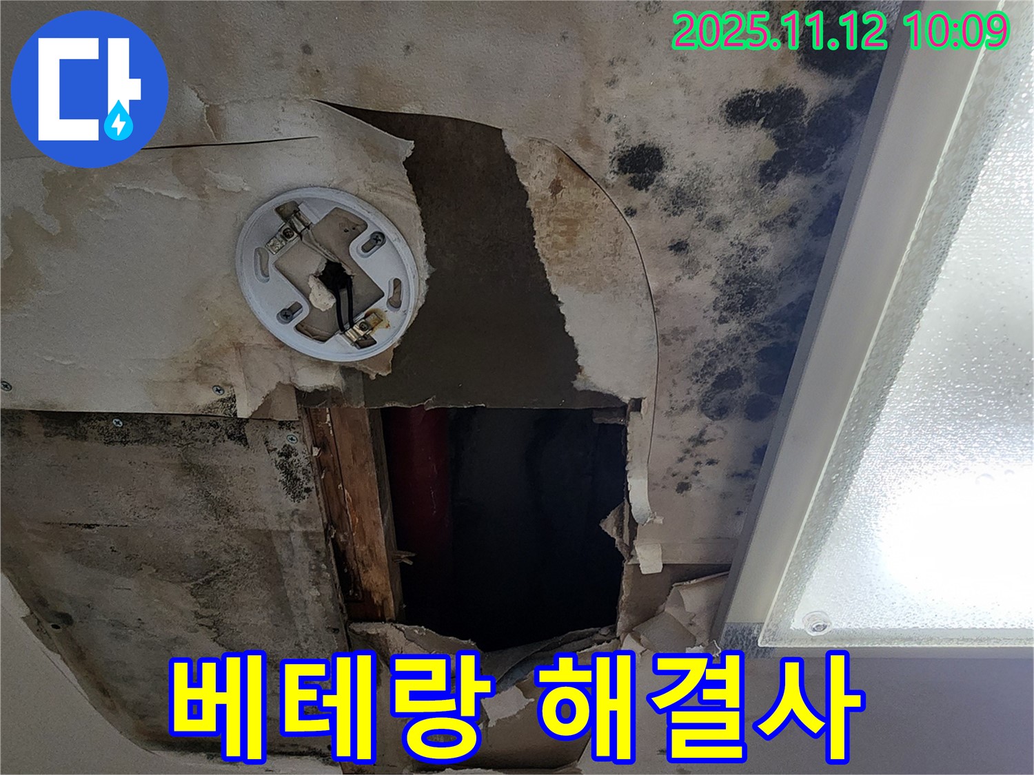 베테랑 기술 노하우 - 곰팡이 천장 누수 완벽 해결