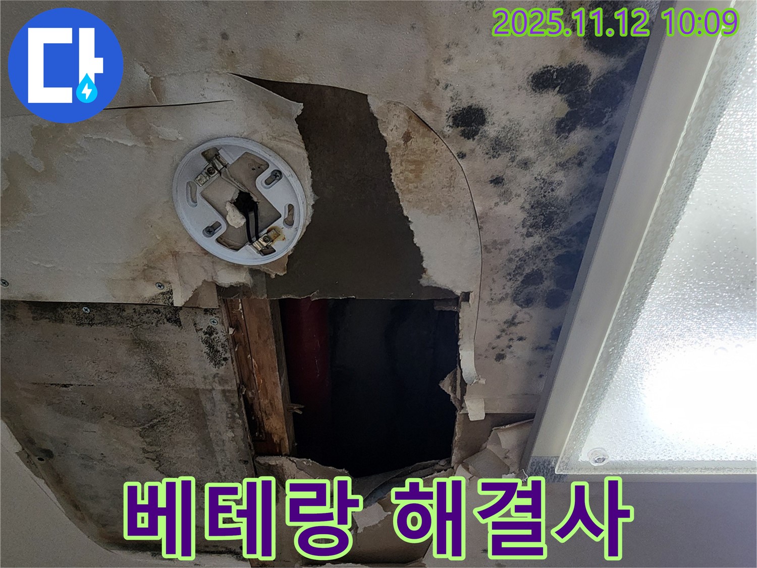 베테랑 기술 노하우 - 곰팡이 천장 누수 완벽 해결