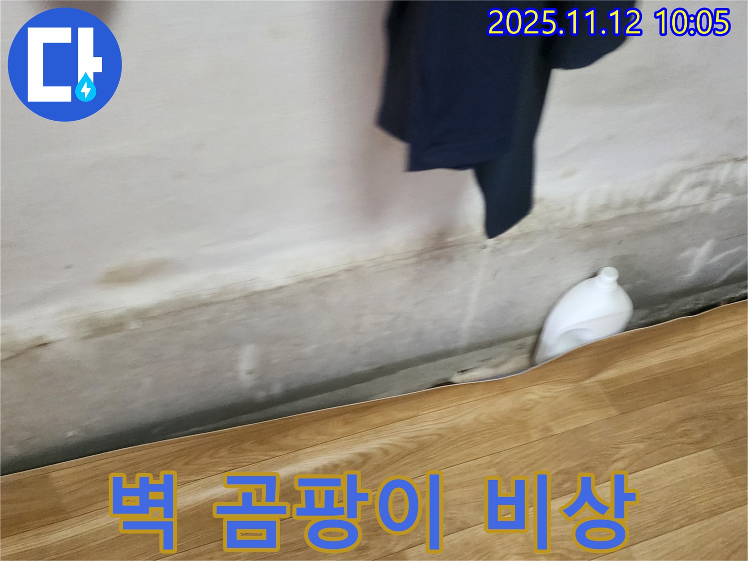 벽 곰팡이 - 누수 비상 - 즉시 해결